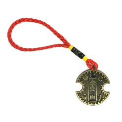 Amuleto feng shui con moneda china para mantener la riqueza y el dinero Nanbu Coin