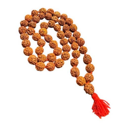 Collar Rudraksha  | 5 Mukhi | Amuleto de Protección y Meditación | Hecho en India
