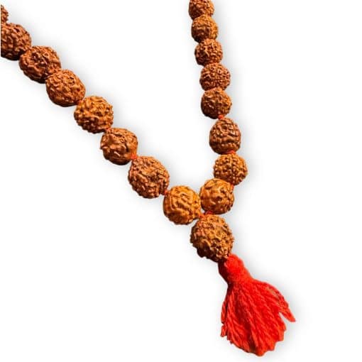 Collar Rudraksha  | 5 Mukhi | Amuleto de Protección y Meditación | Hecho en India